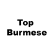 Top Burmese