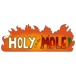 HolyChileMole