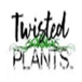Twisted Plants