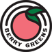 Berry Greens Juice Bar