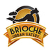 Brioche Urban Baking & Catering