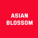 Asian Blossom