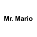 Mr. Mario