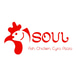 Soul Fish Chicken & Grill