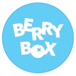 BerryBox Superfood Bar