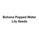 Bohana Popped Water Lily Seeds