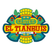 Elotes el Tianguis