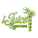 iJuice Sugarcane