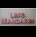 Lin's Mandarin Chinese & Asian Restaurant