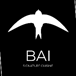 BAI (N Ashland Ave)