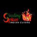 Sizzling spices Indian cuisine