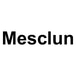 Mesclun