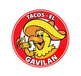 Tacos El Gavilan