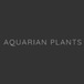 Aquarian Plants