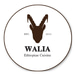 Walia Ethiopian Express