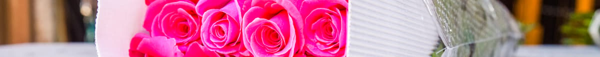 25 Stem Hot Pink Roses