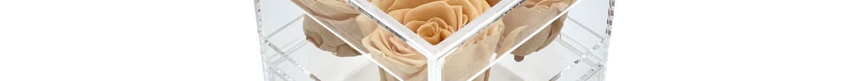 4 Yellow Champaign Eternity Roses in Acrylic Jewelry Box 