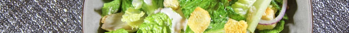 Caesar Salad Wrap