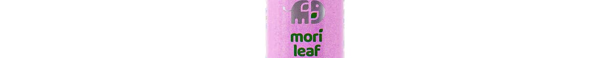 Mori Leaf Tea - Unsweetened Mint Moringa 16oz
