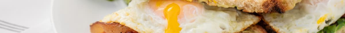 Egg-Cellent Sandwich