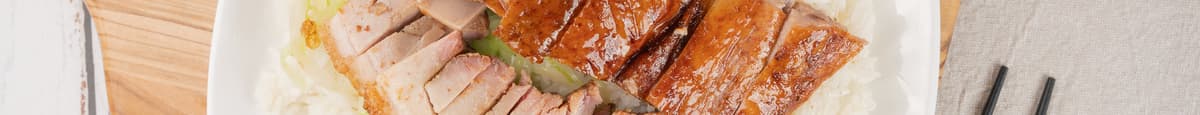 17.  BBQ Duck and Roast Pork 烧鸭烧肉