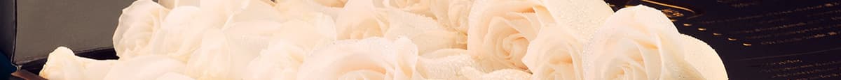Pearl White Rose