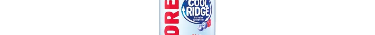 Cool Ridge Vitamin 2.0 - Restore 450 ml