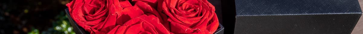 Red Eternal roses  - Box of 4