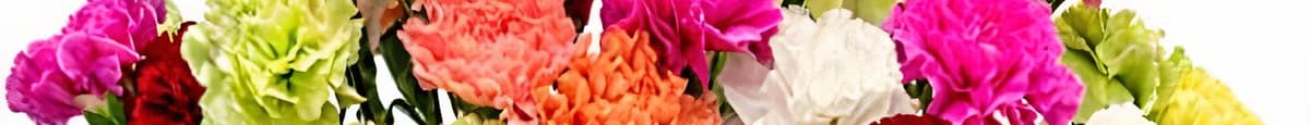1 Dozen mixed colored Carnations Wrapped Up