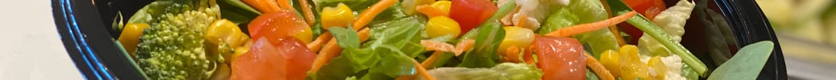The Veggie Bowl Salad