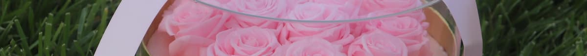 Circle Of Roses | Medium | Pink Blush