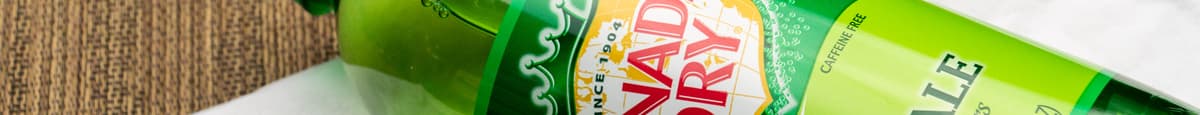 Canada Dry Ginger Ale (1 L)