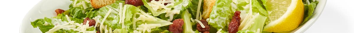 Glutenwise Starter Caesar Salad