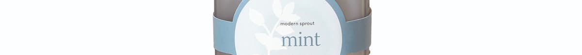 Mint Garden Jar Kit