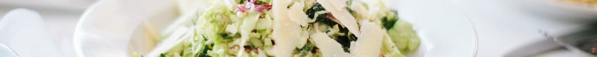 TriColore Salad