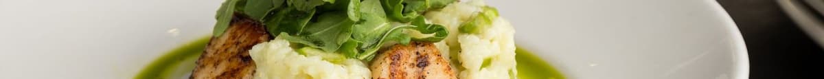 Seared Georges Bank Scallops
