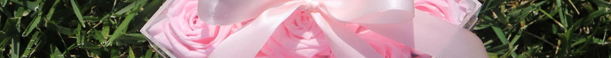 Rose Box | Small | Pink Blush