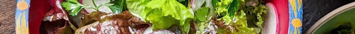 coleman lettuces, radish, buttermilk dressing & green harissa