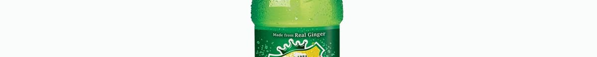 Canada Dry® Ginger Ale 500 mL Bottle