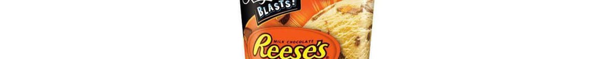 Breyers Reeses Peanut Butter Cup Pint