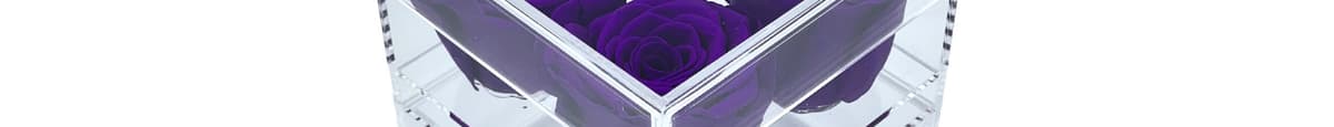 4 Purple Eternity Roses  in Acrylic Jewelry Box ( Classic Purple) 