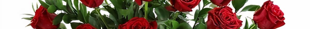Ravishing Red Roses