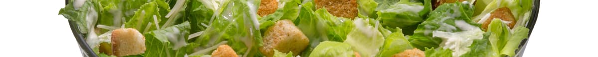 Caesar Salad (Individual )