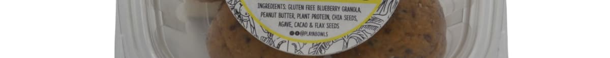 Chocolate Peanut Butter Protein Bites