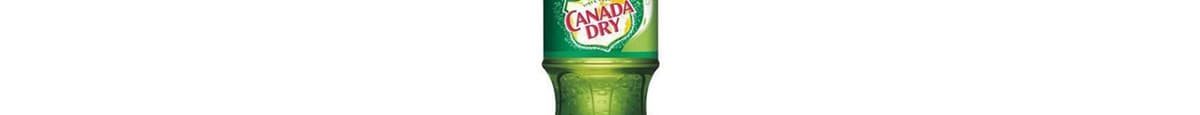 Canada Dry Ginger Ale 20 oz.