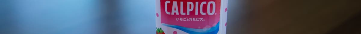 Japanese Calpico