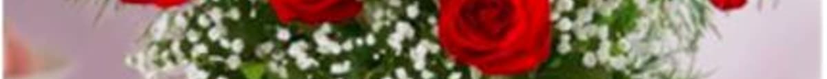 Rose Elegance™ Premium Long Stem Dozen Red Roses