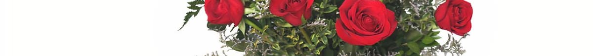 Classic Dozen Roses Red Rose Arrangement