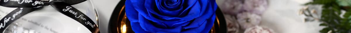 Royal blue rose with lights