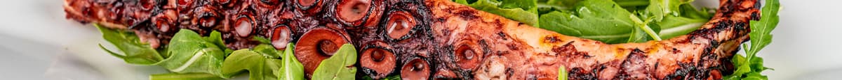 Grilled Pulpo